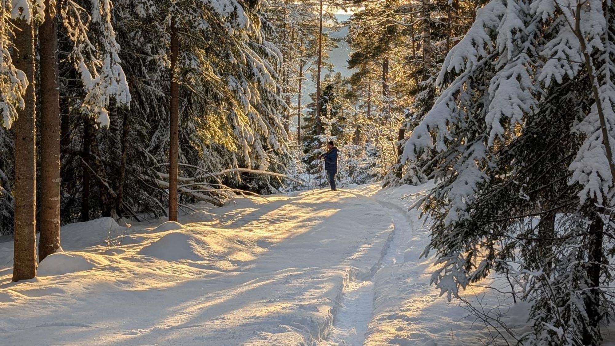 Granum Gard 3* Fluberg